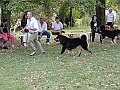 img 125